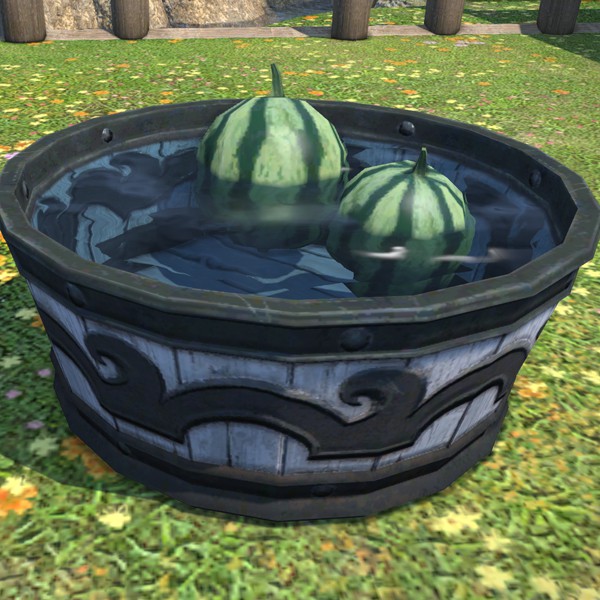 西瓜の水桶