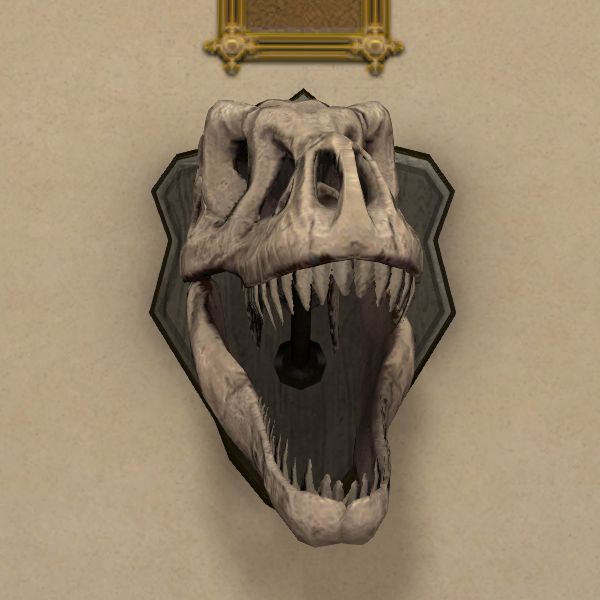 古代獣の頭骨