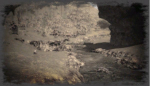 風景画:ウィロームリバー
