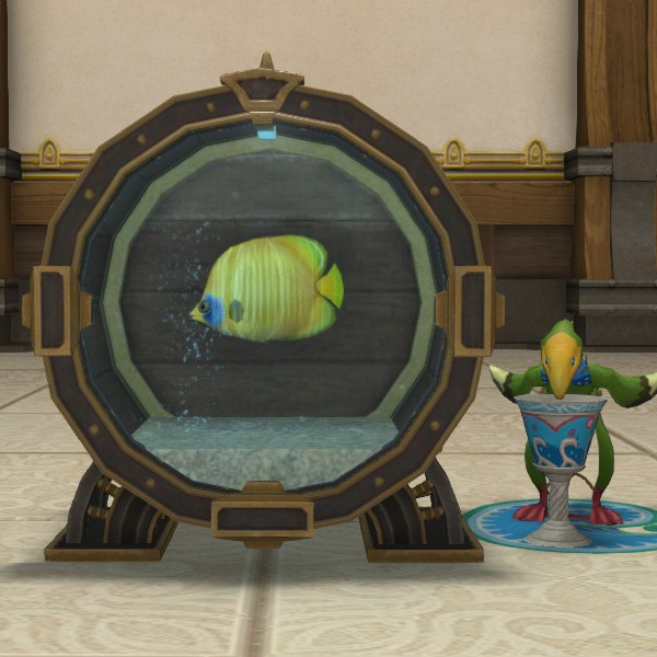 アクアリウムG1
