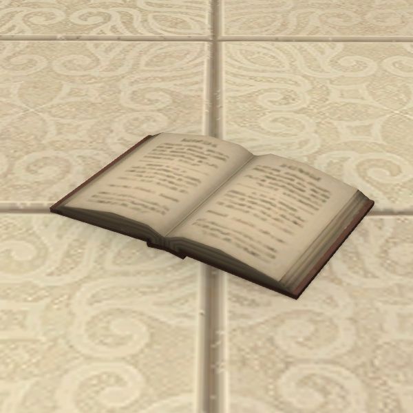 読みかけの書物